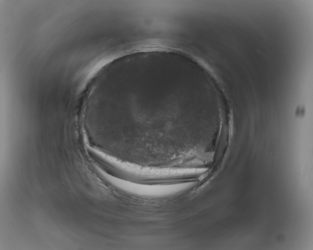 X0000111641453200908071330