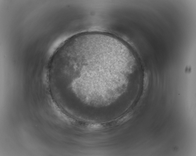 X0000111641454200908071330