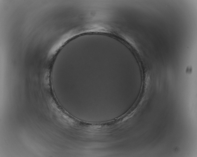 X0000111641455200908071330