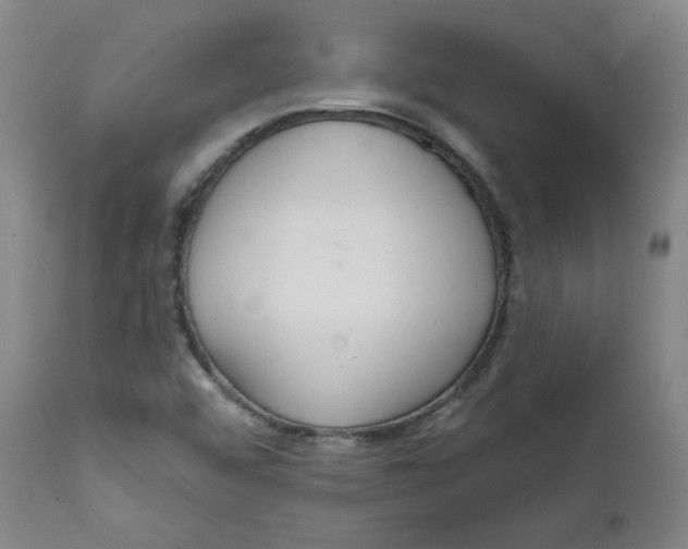 X0000111641456200908071330