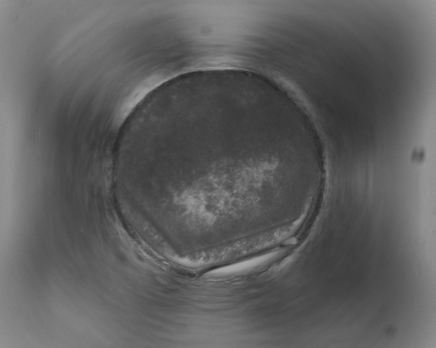 X0000111641457200908071330