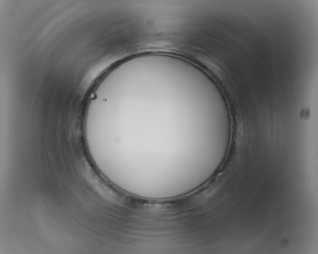 X0000111641458200908071330