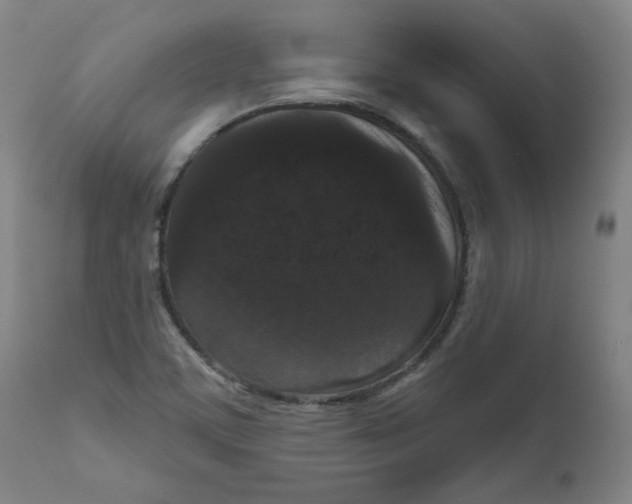 X0000111641459200908071330