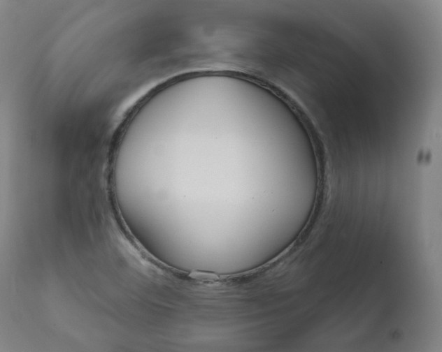 X0000111641460200908071330