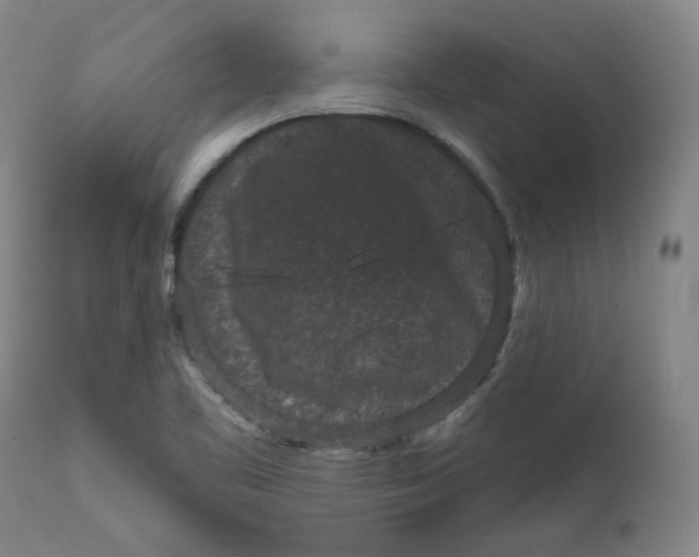 X0000111641461200908071330