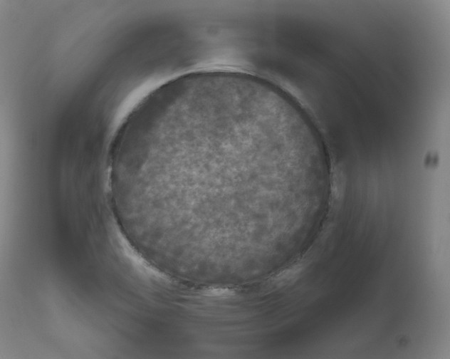 X0000111641462200908071330