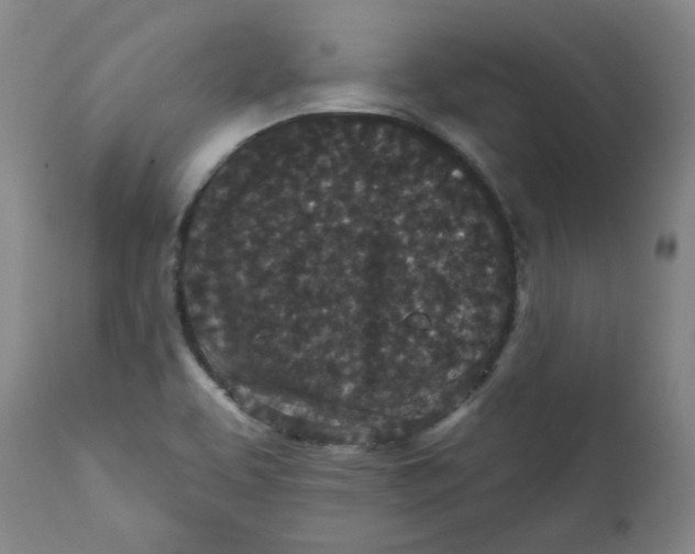 X0000111641463200908071330