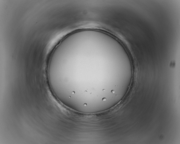 X0000111641464200908071330