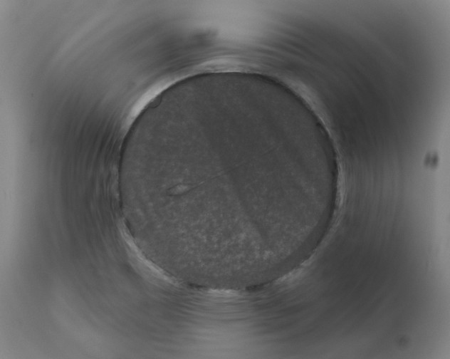 X0000111641465200908071330