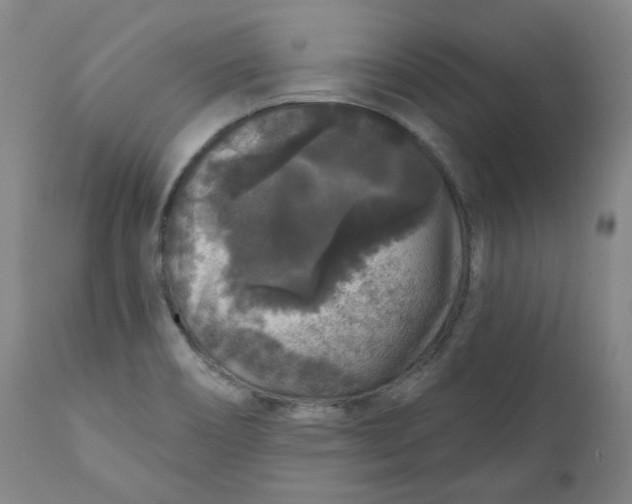 X0000111641466200908071330