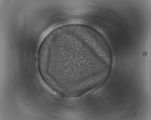 X0000111641467200908071330