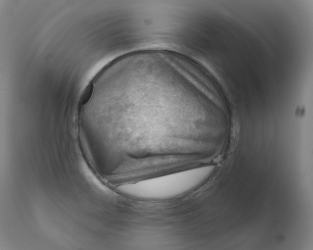 X0000111641468200908071330