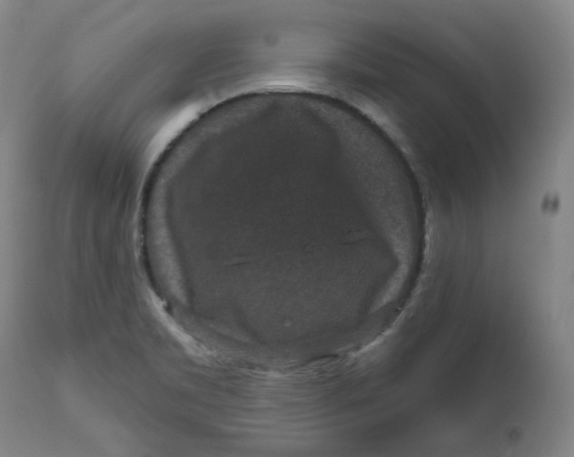 X0000111641469200908071330