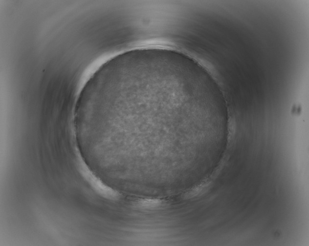 X0000111641470200908071330