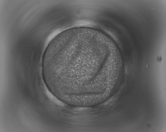 X0000111641471200908071330