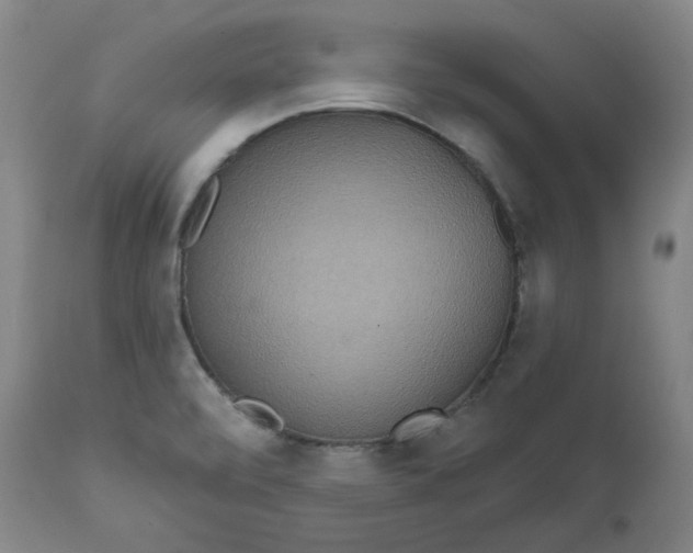 X0000111641472200908071330