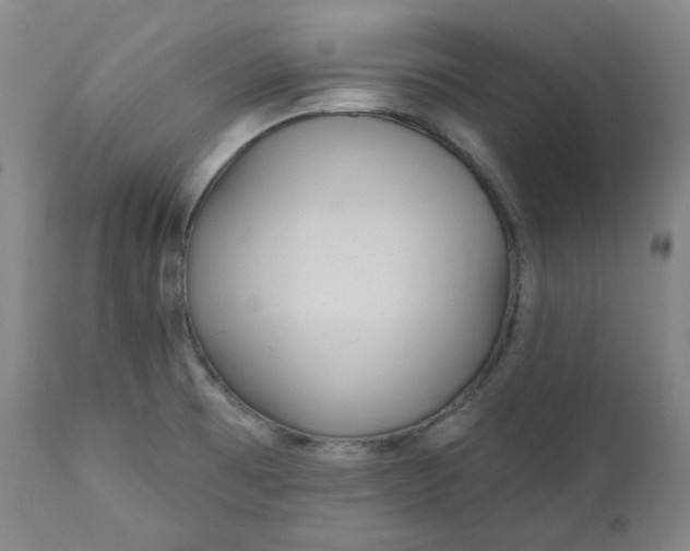 X0000111641473200908071330