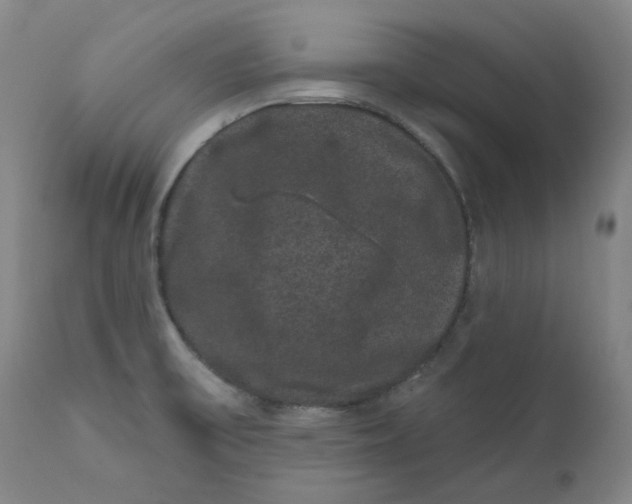 X0000111641475200908071330