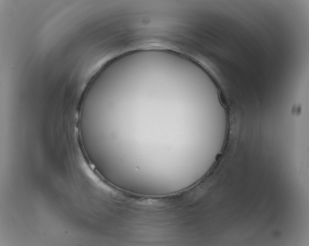 X0000111641476200908071330