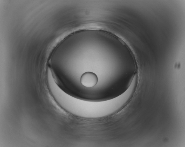 X0000111641477200908071330