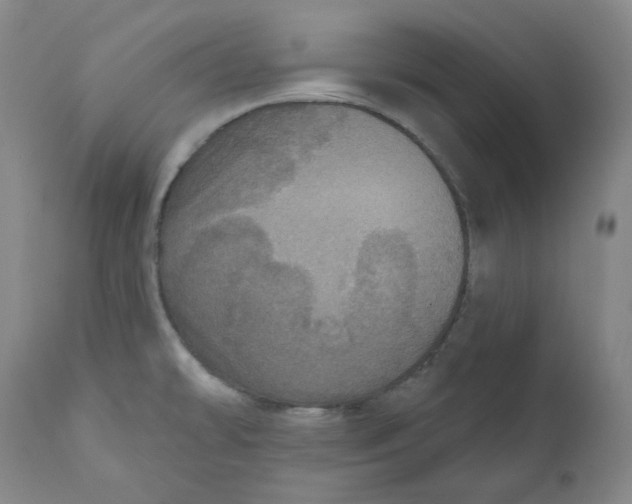 X0000111641478200908071330