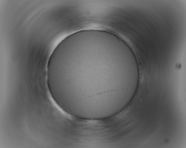 X0000111641479200908071330