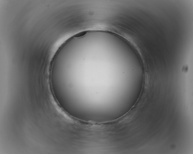 X0000111641480200908071330