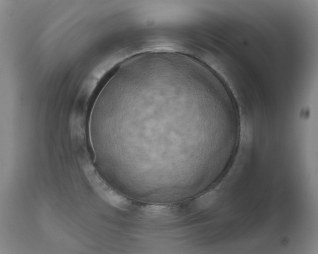 X0000111641481200908071330