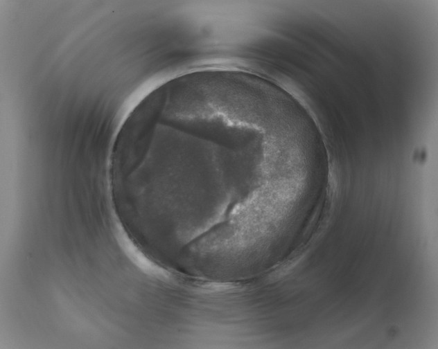 X0000111641482200908071330