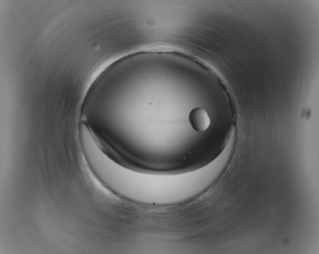 X0000111641484200908071330