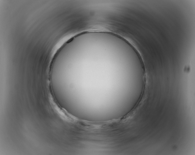 X0000111641485200908071330