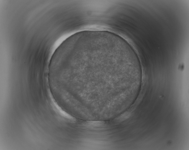 X0000111641486200908071330