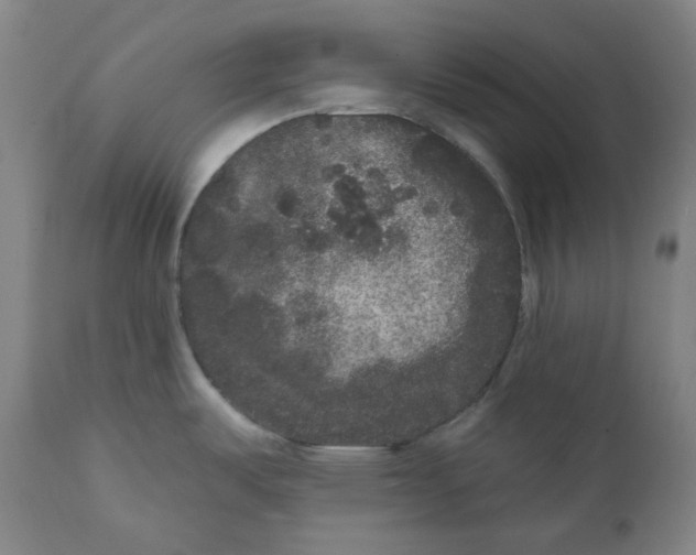 X0000111641487200908071330