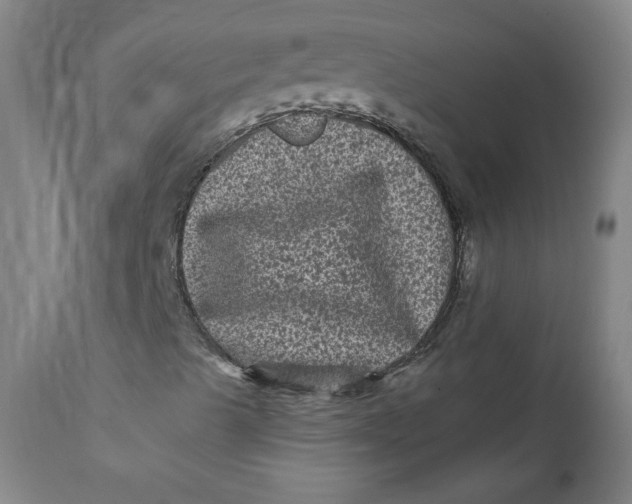 X0000111641489200908071329