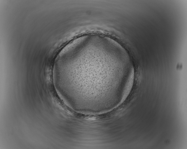 X0000111641490200908071329