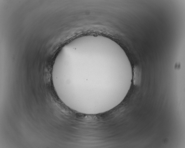 X0000111641491200908071329