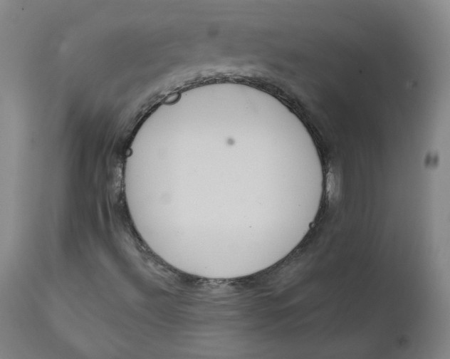 X0000111641492200908071329