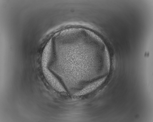 X0000111641494200908071329