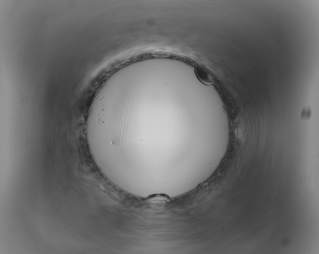 X0000111641495200908071329