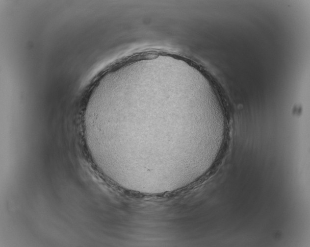 X0000111641496200908071329