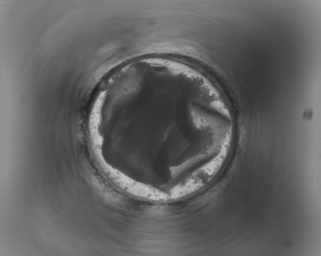 X0000111641497200908071329