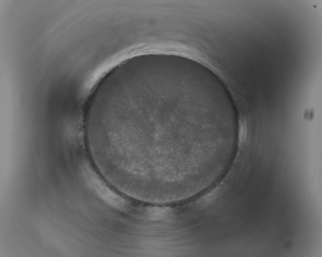 X0000111641498200908071329