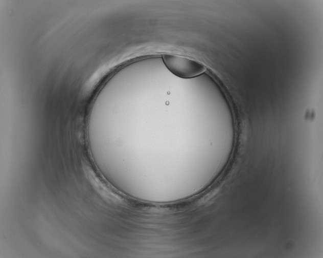 X0000111641499200908071329