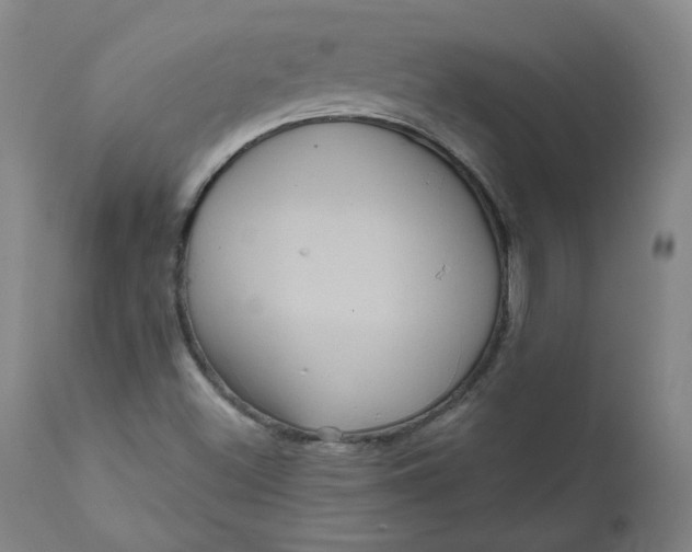 X0000111641500200908071329