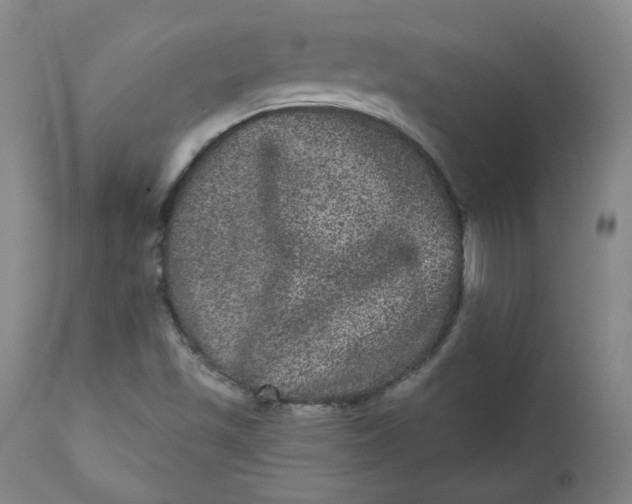 X0000111641501200908071329