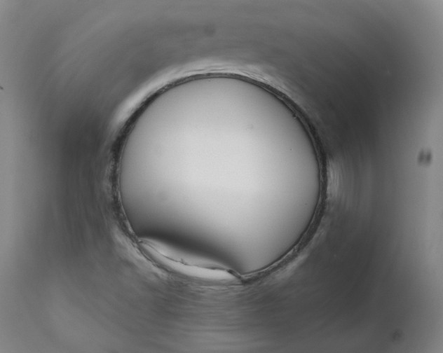 X0000111641502200908071329