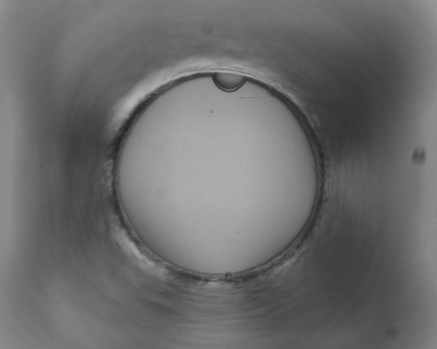 X0000111641503200908071329