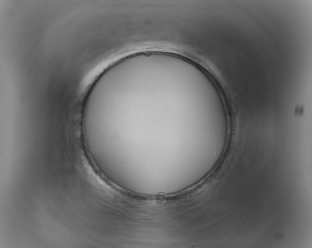 X0000111641504200908071329