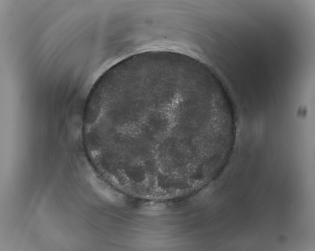 X0000111641505200908071329