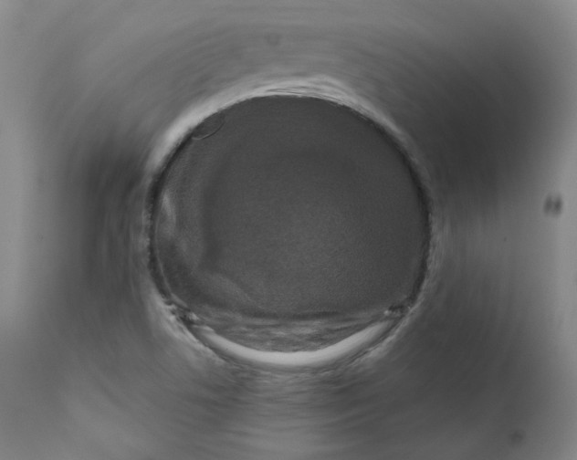 X0000111641506200908071329